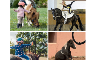 Évènements CAFC 12 octobre equitation