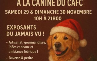 Évènements CAFC Canine A